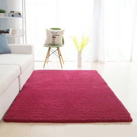 Minimaliste rugs
