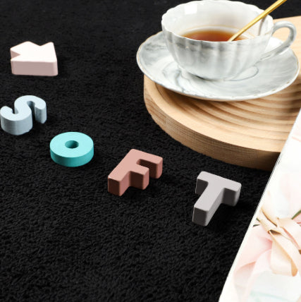 Large modern black area rug in bright minimalist home